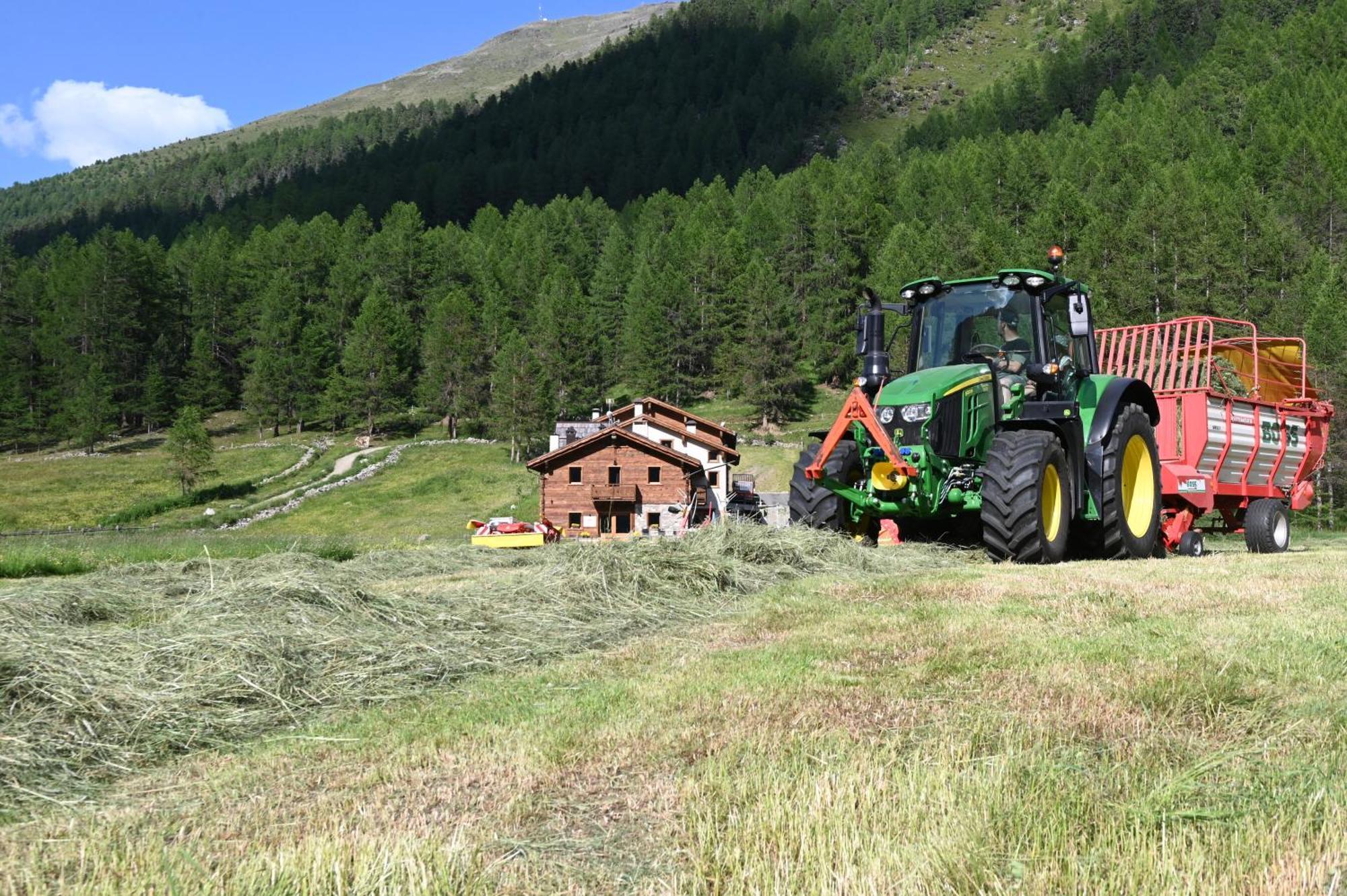 Agriturismo Bosco D'Oro Livigno Ngoại thất bức ảnh